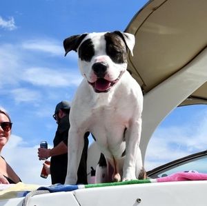 Meet your Posher, James